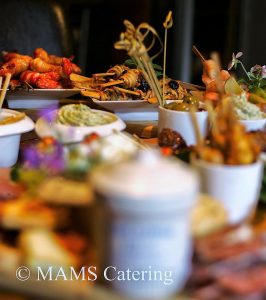Luxe hapjes MAMS Catering Enschede